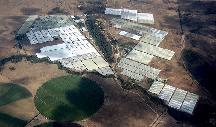 Invernadero de uno de los socios de AgritechMurcia.