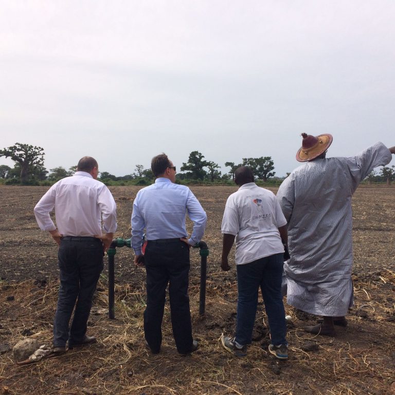 Misión comercial en Senegal para participar en el cambio de modelo productivo de su agricultura.