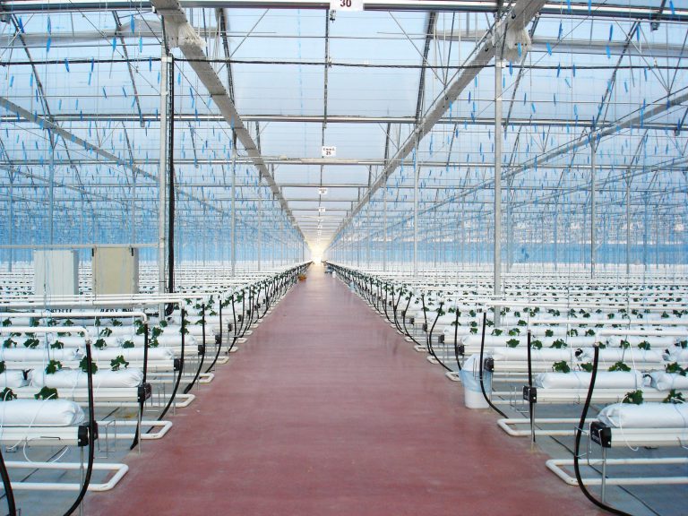 curso invernaderos agritech
