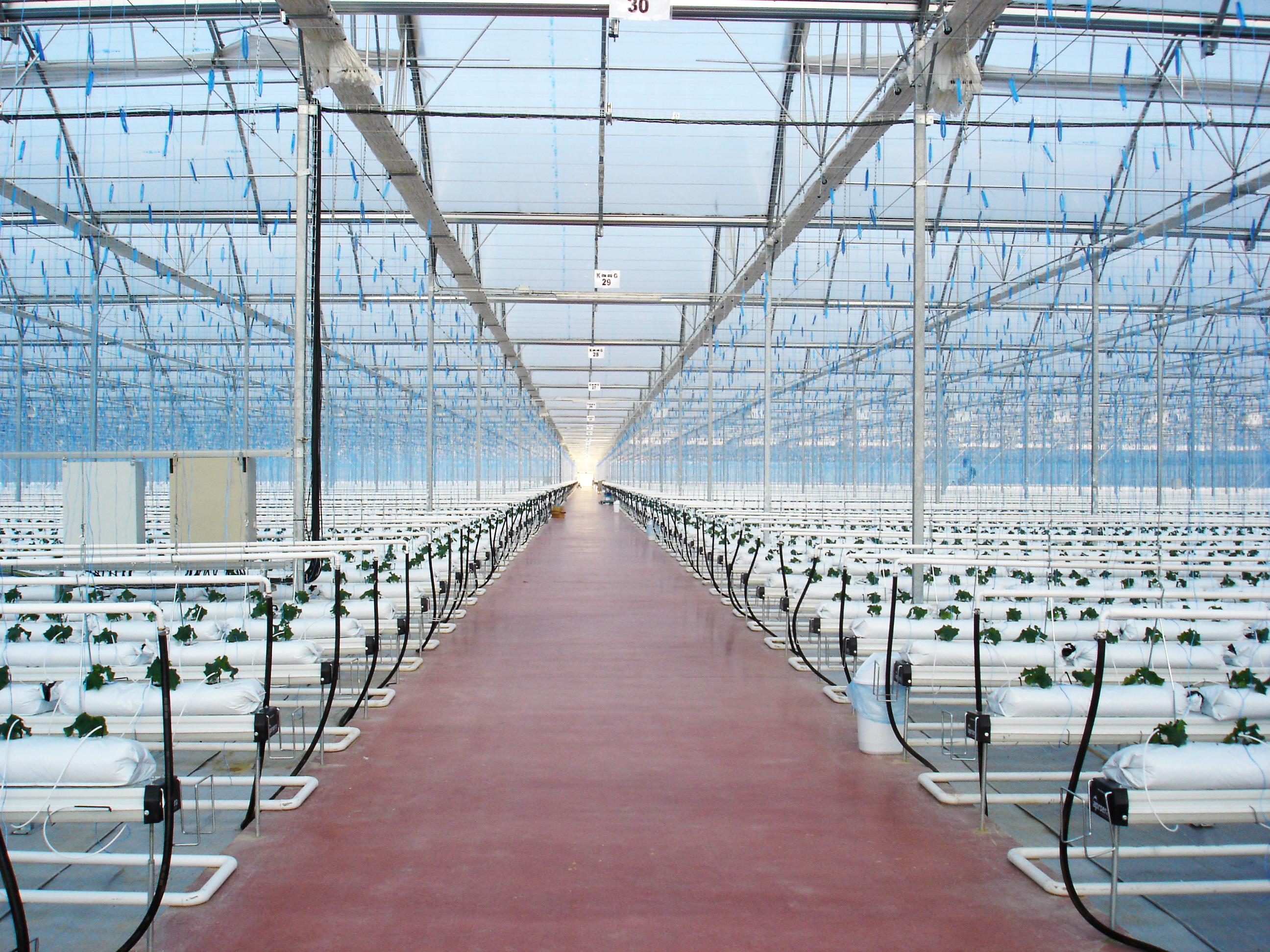 curso invernaderos agritech
