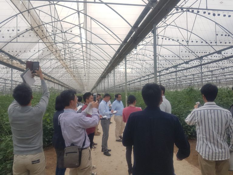 agricultores japoneses agritechmurcia