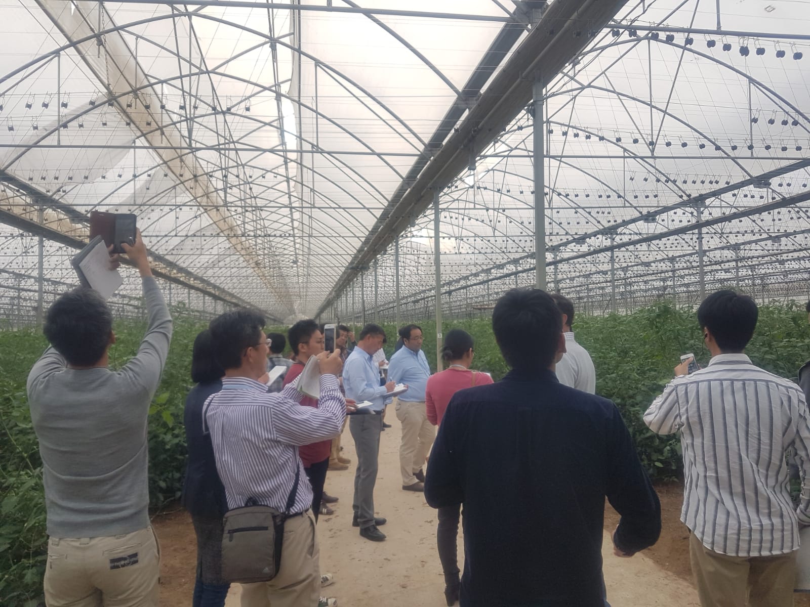 agricultores japoneses agritechmurcia
