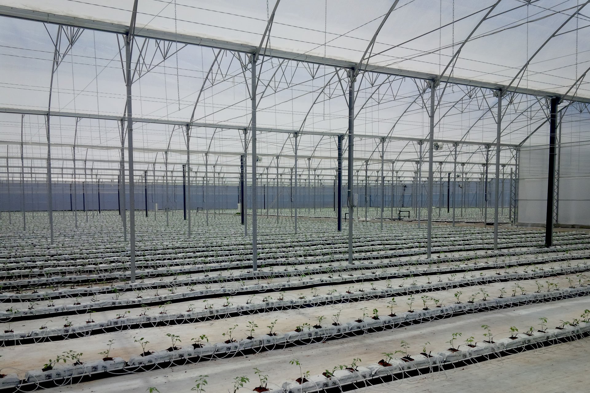Hydroponic Systems-cultivo hidropónico