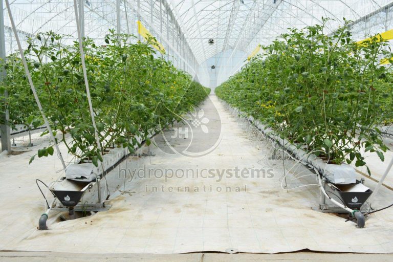 agritechmurcia_elevatedsystem
