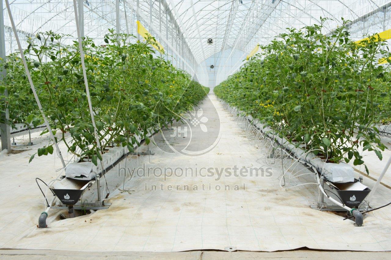 agritechmurcia_elevatedsystem