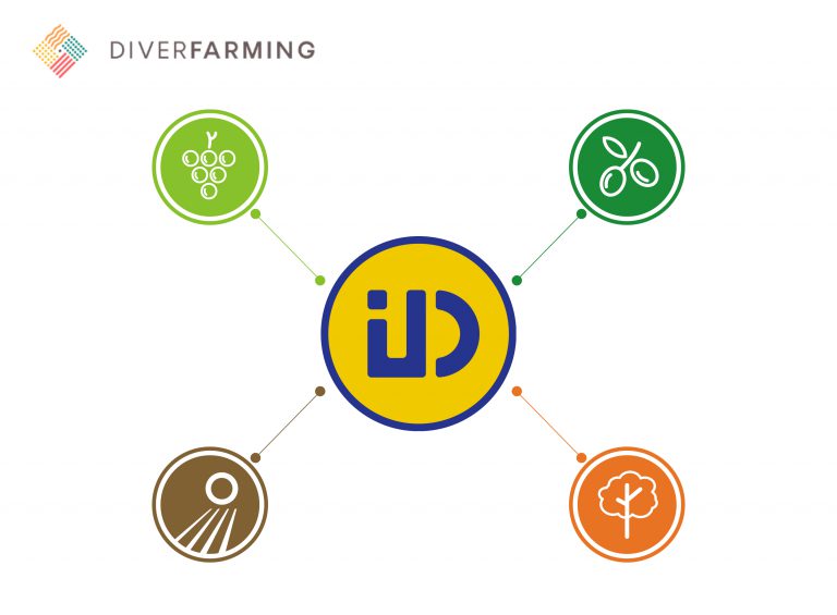 ID-DAVID-DIVERFARMING