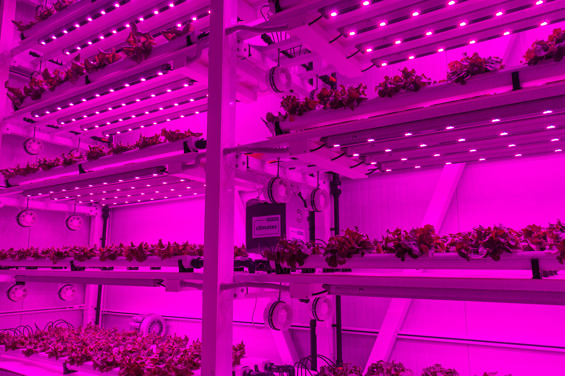 novagric-cultivo vertical