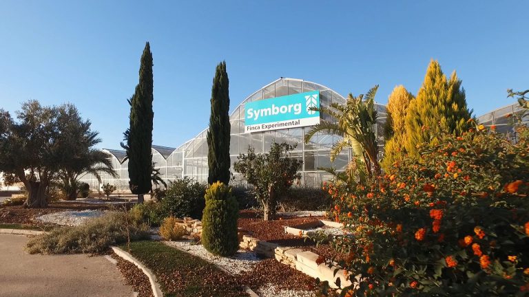 Symborg-BlueN