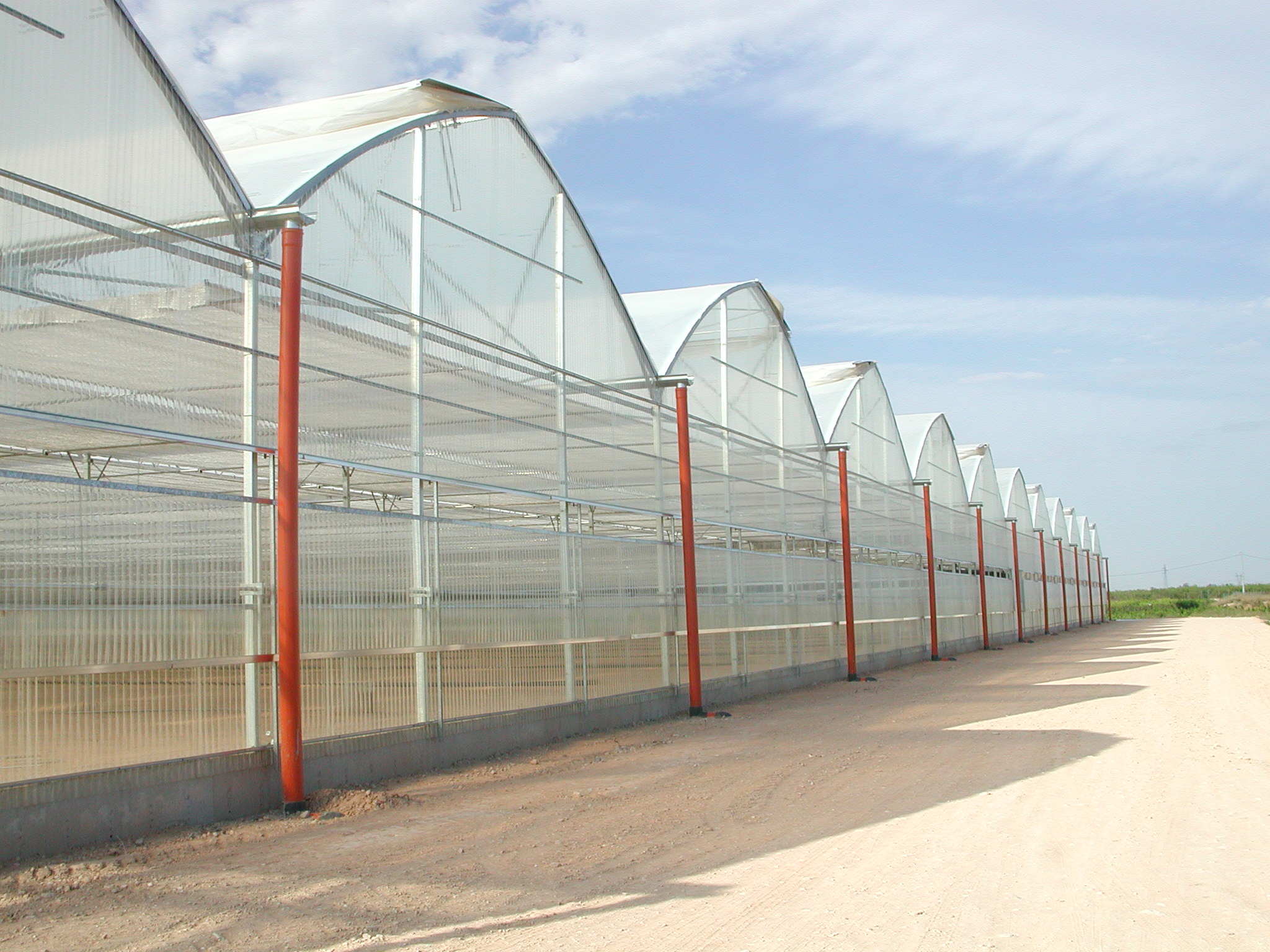 Proyecto tomate cherry marruecos