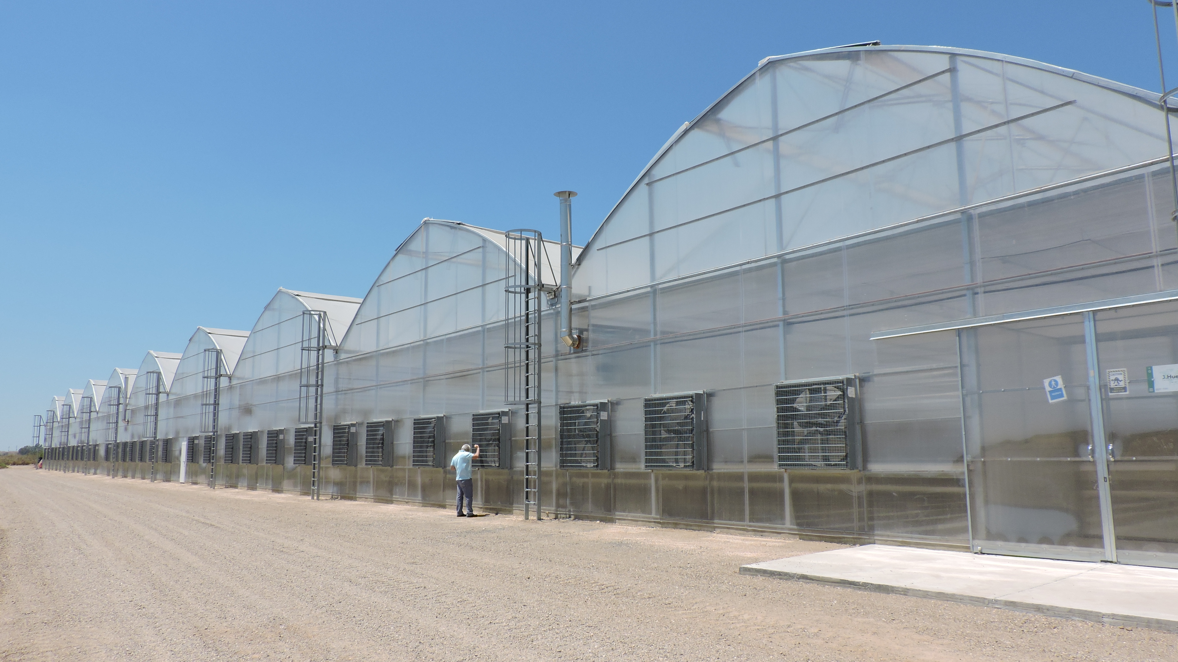 Proyecto Invernadero lechuga Irán