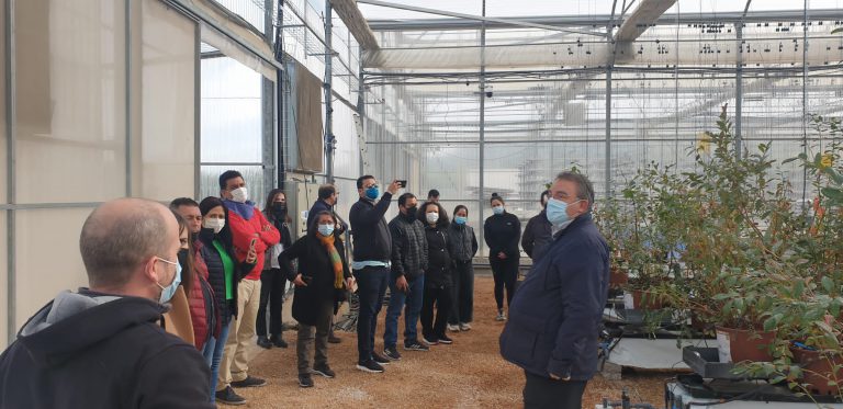 tecnología agraria Murcia