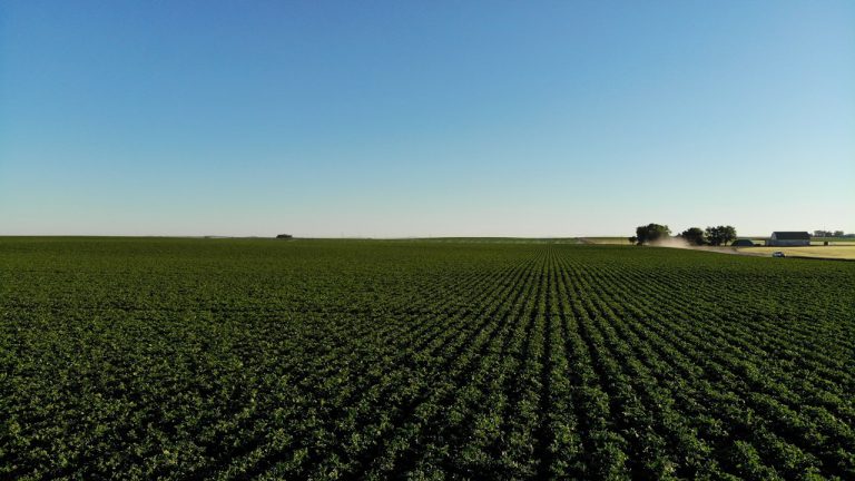 sostenibilidad industria agroalimentaria