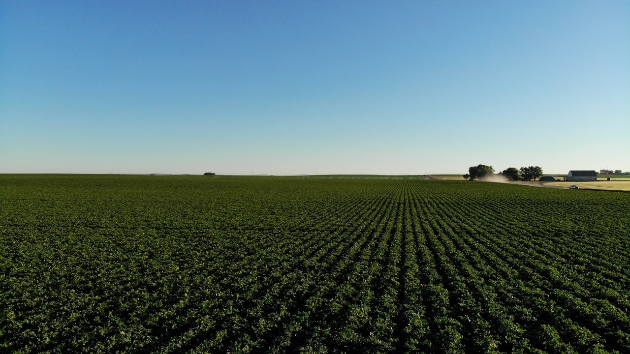 sostenibilidad industria agroalimentaria